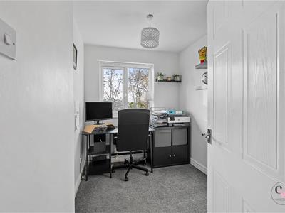 Picture 27
